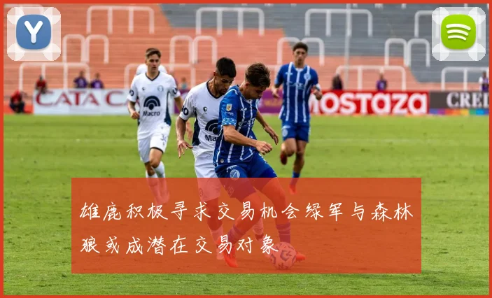 雄鹿积极寻求交易机会绿军与森林狼或成潜在交易对象