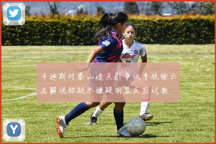 卡迪斯对泰山造点引争议李欣徐云龙解说称跳水嫌疑明显反应过激